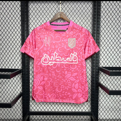 Palestino 23/24 Pre match pink